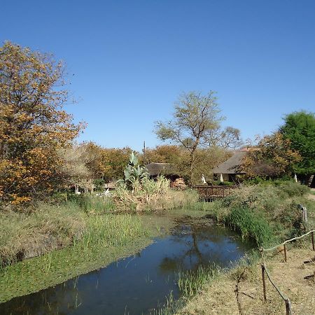 Phokoje Bush Lodge Selebi-Phikwe Eksteriør billede